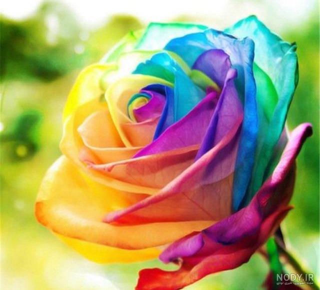 دانلود آهنگ بشکنه قلبت دیگه نمیام نمیام دیگه ستارمونو نمیخوام نمیخوام پویان جی سی